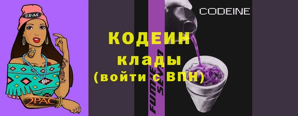 гашик Бородино